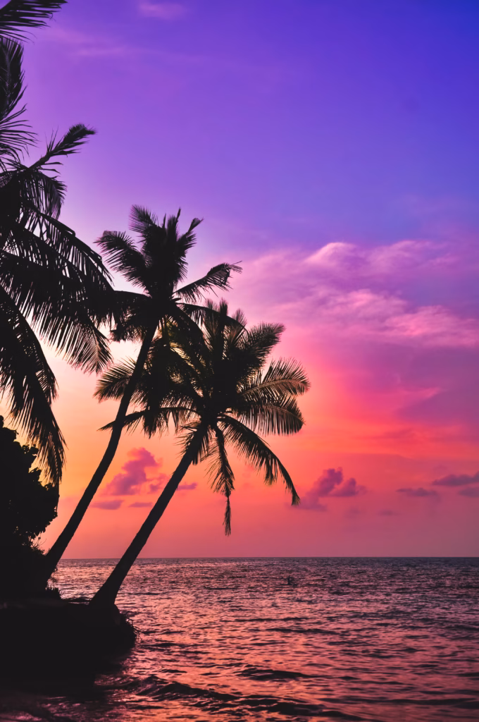 Tropical